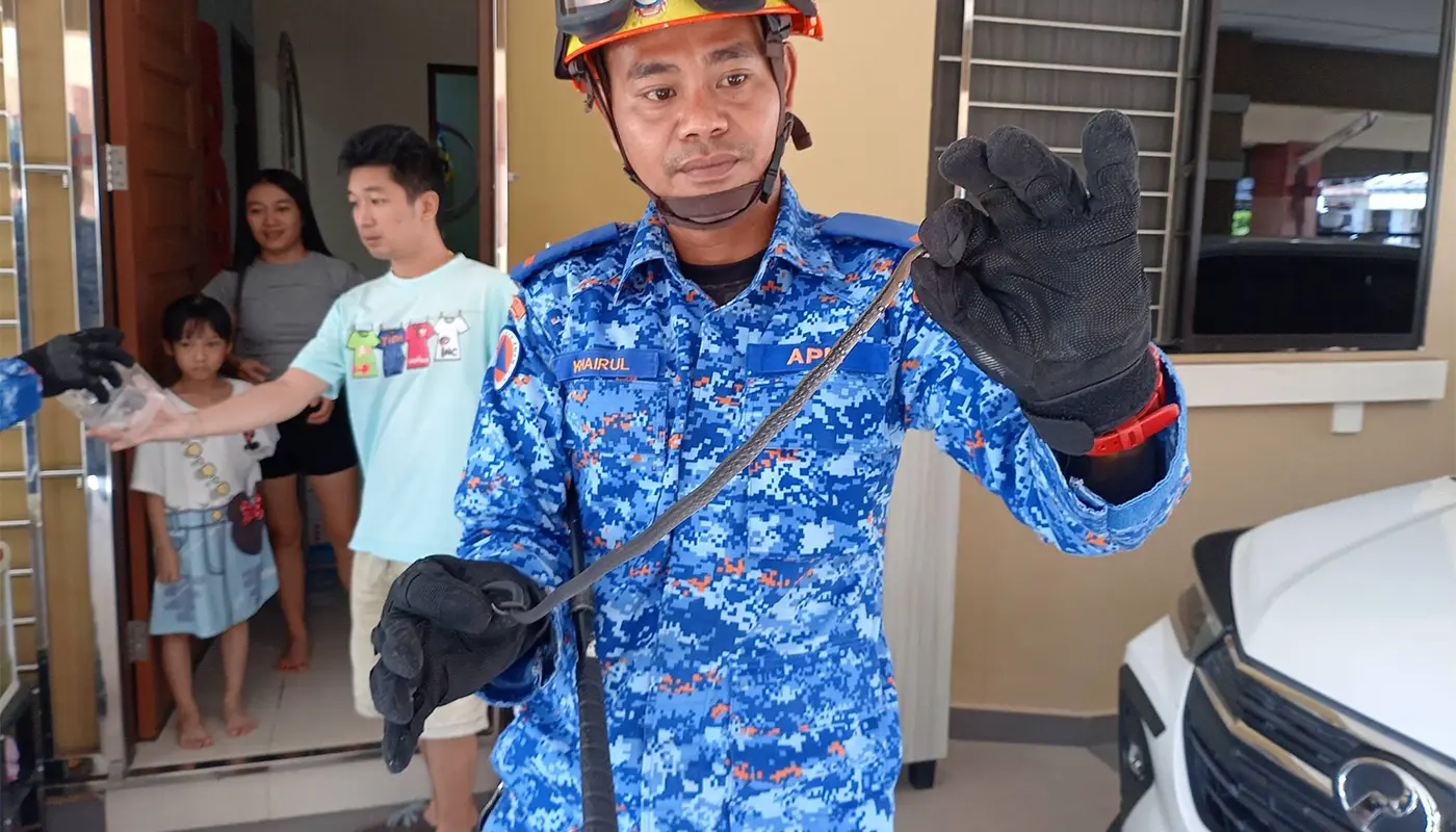 Mukah Civil Defence Safely Captures Rock Snake in Residence 1 Sarawak, Sarawak News, Mukah, Mukah News, Civil Defence, Emergency Response, Public Safety