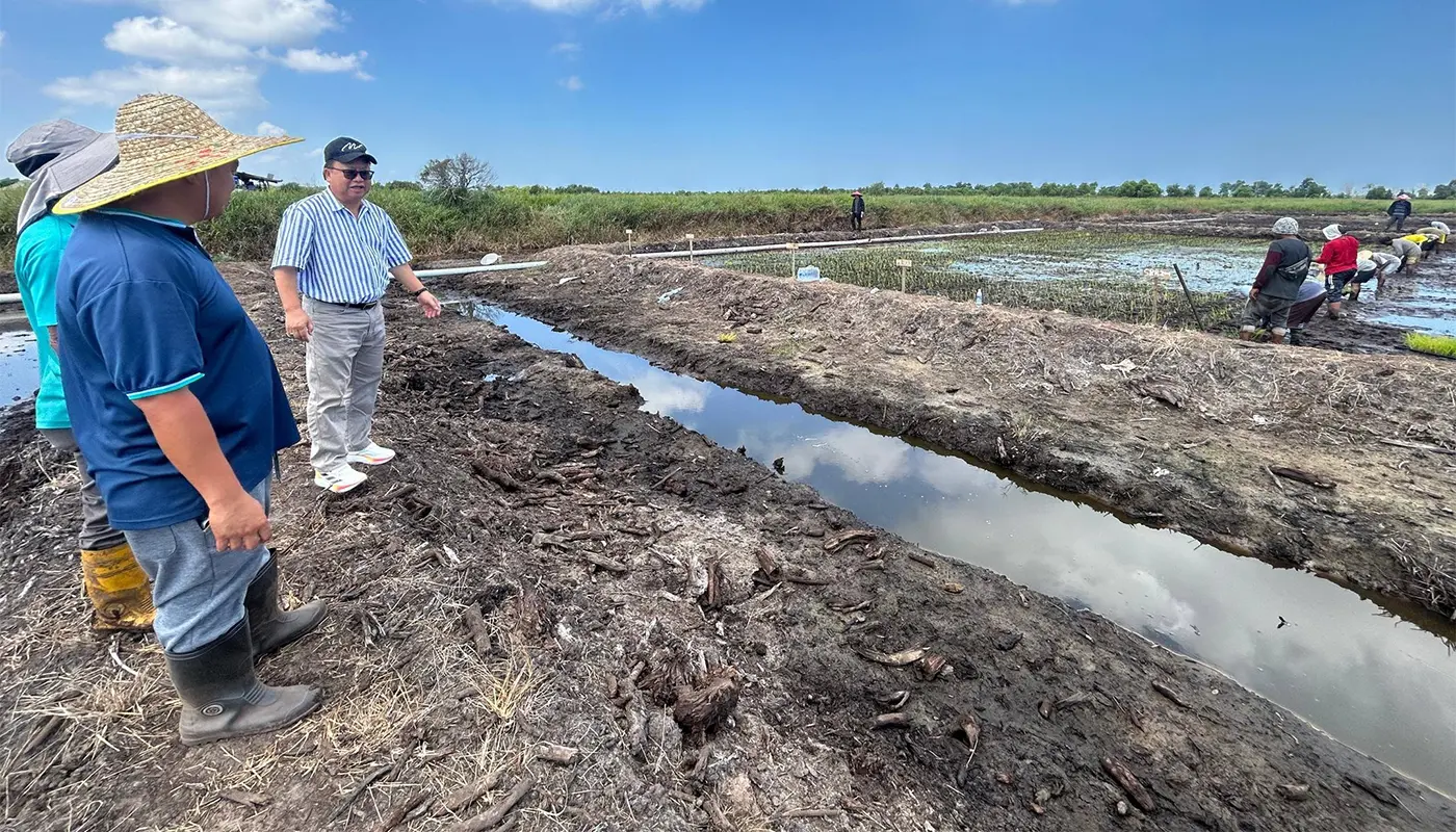 Sarawak Agriculture Director Visits Paddy Trial and Attends Medal Ceremony 1 Sarawak, Sarawak News, Miri, Miri News, Agriculture, Paddy Cultivation, Food Security, Loyal Service Medal, Sarawak Agriculture Department