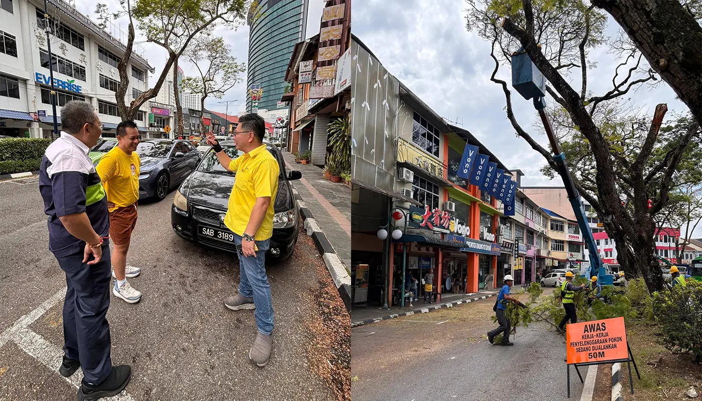 Tree Trimming Work Completed at Padungan by MBKS Contractors 1 Sarawak, Sarawak News, Kuching, Kuching News, MBKS, Padungan