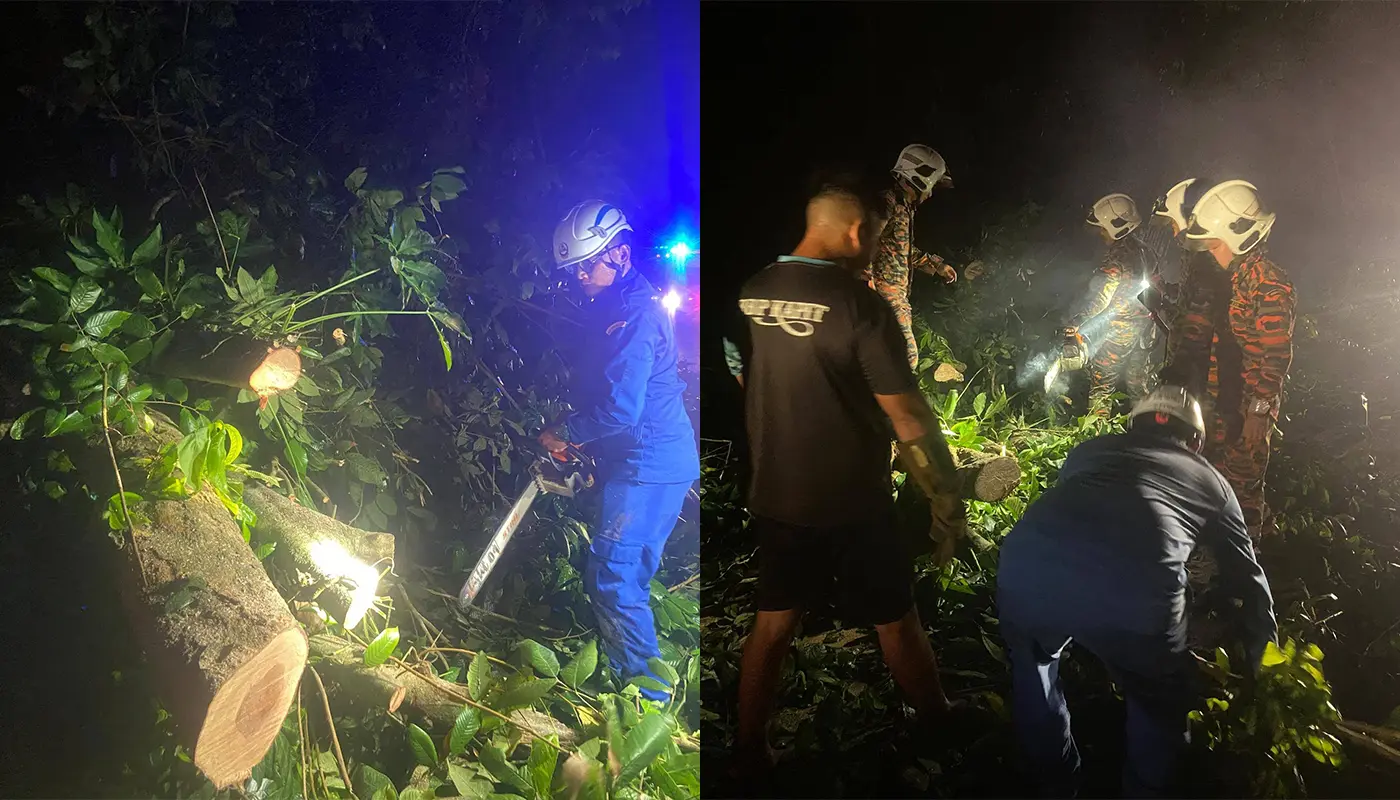 Emergency Response Teams Help Clear Fallen Tree Blocking Road in Kapit 1 Sarawak, Sarawak News, Kapit, Kapit News, Malaysian Civil Defence Force, APM Kapit, Public Safety, Emergency Response, Fallen Tree