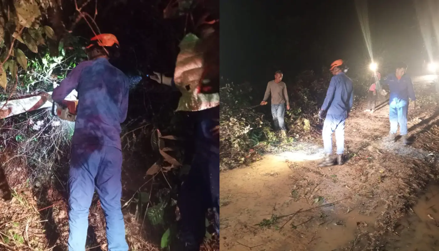 APM Betong Clears Fallen Tree Blocking Jalan Kubal Lidong 1 Sarawak, Sarawak News, Betong, Betong News, Public Safety, APM Betong, Fallen Tree, Emergency Response