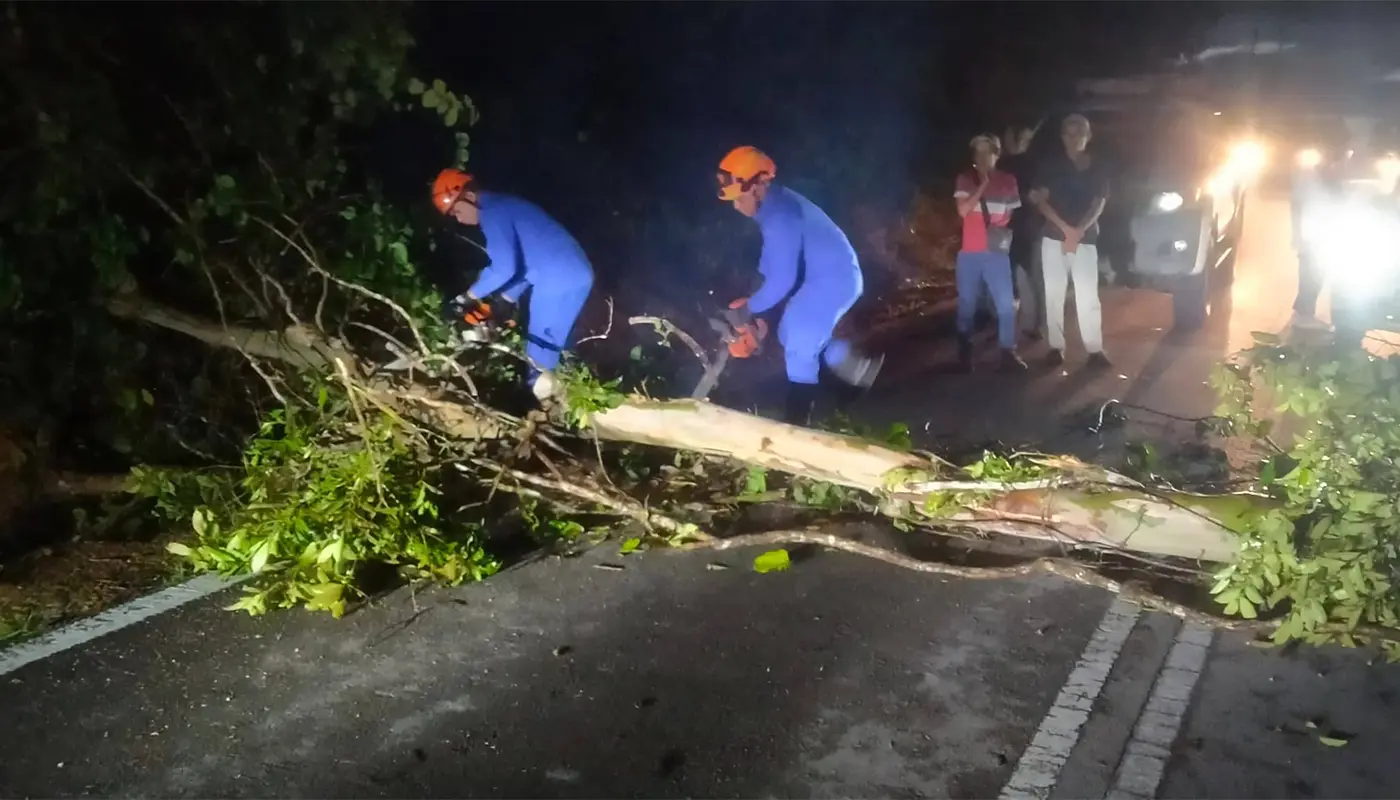 APM Clears Fallen Tree Blocking Saratok School Road 1 Sarawak, Sarawak News, Saratok, Saratok News, SK Ng Atoi, Public Safety, Civil Defence, APM Saratok, Infrastructure, Emergency Response