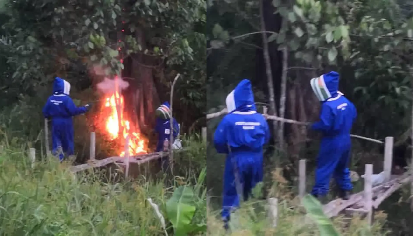 APM Debak Removes Hazardous Ground Wasp Nest Safely 1 Sarawak, Sarawak News, Debak, Debak News, Public Safety, Civil Defence, Wasp Nest, Emergency Response