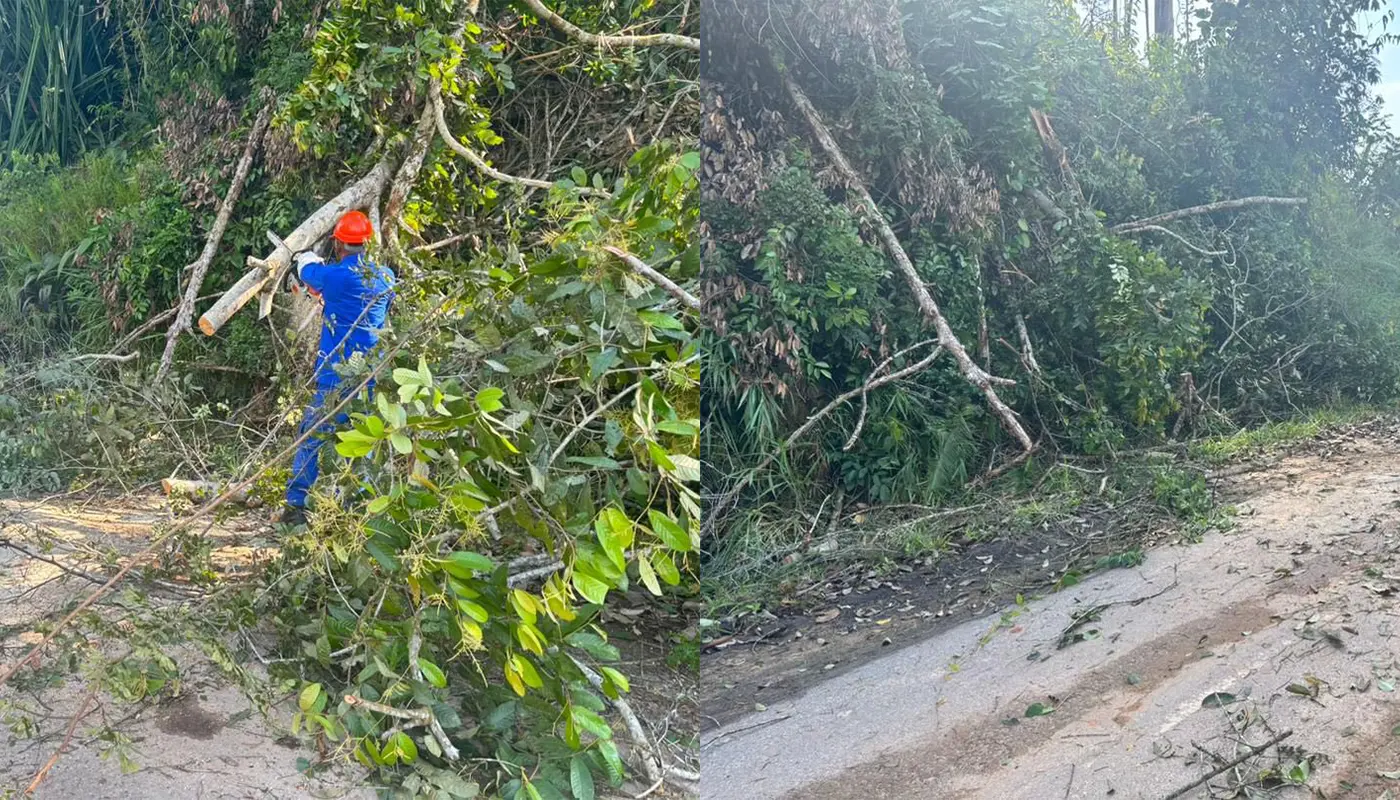 APM Marudi Clears Fallen Tree Blocking Village Road 1 Sarawak, Sarawak News, Marudi, Marudi News, Civil Defence, Fallen Tree, Emergency Response, Bravo Squad
