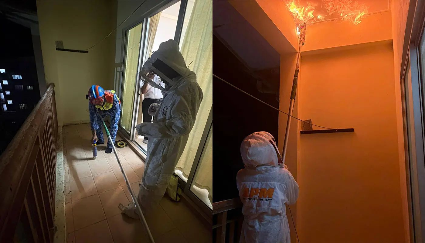 APM Mukah Destroys Wasp Nest at A Local Flat 1 Sarawak, Sarawak News, Mukah, Mukah News, Public Safety, APM Mukah, Insect Nest Removal, Emergency Response