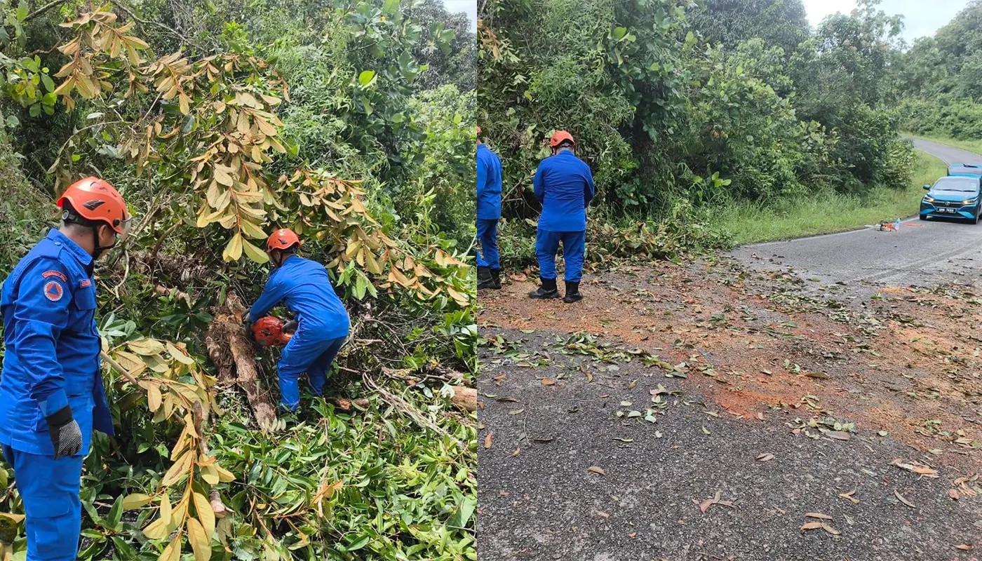 APM Pakan Cleared Fallen Tree Blocking Jalan Wak 1 Sarawak, Sarawak News, Pakan, Pakan News, Civil Defence, Emergency Response, Public Safety, Road Safety