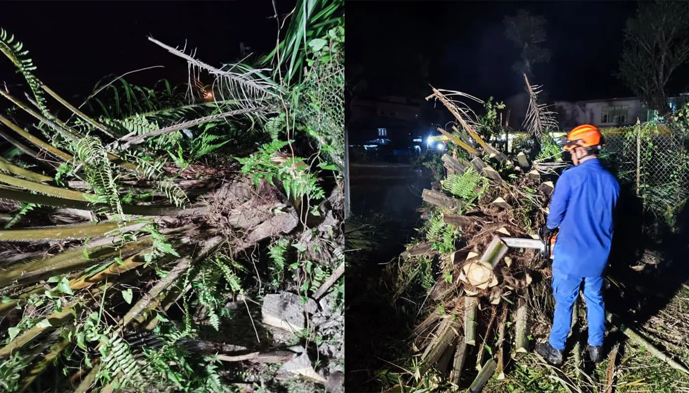 APM Sarikei Clears Fallen Tree Near Government Building 1 Sarawak, Sarawak News, Sarikei, Sarikei News, Public Safety, APM Sarikei, Fallen Tree, Emergency Response