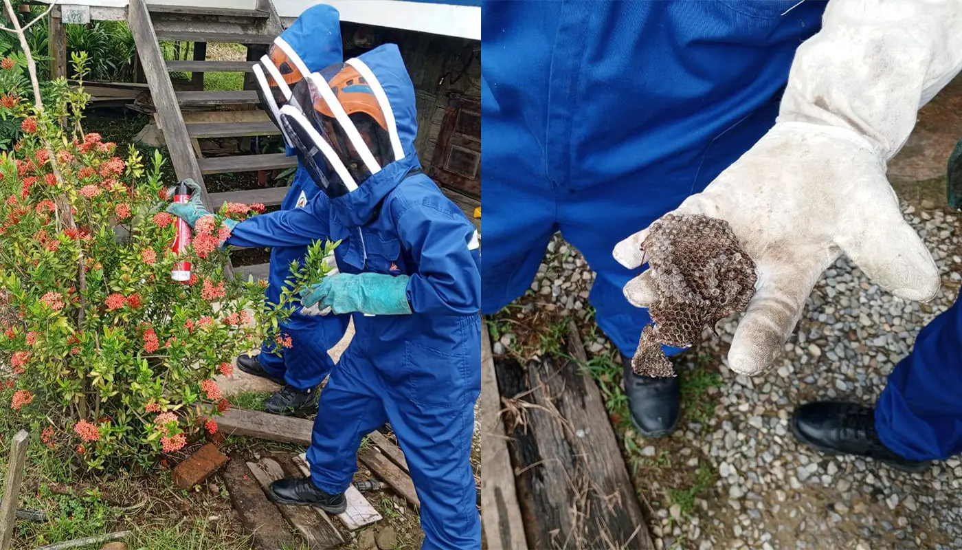 APM Sebauh Removes Bee Nest from Kampung Hilir Residence 1 Sarawak, Sarawak News, Sebauh, Sebauh News, Beehive Removal, APM, Emergency Response, Public Safety