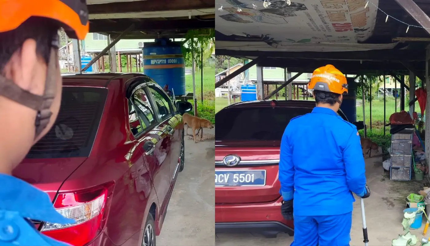Sarawak, Sarawak News, Tanjung Manis, Tanjung Manis News, Public Safety, APM Tanjung Manis, Wild Dog, Emergency Response