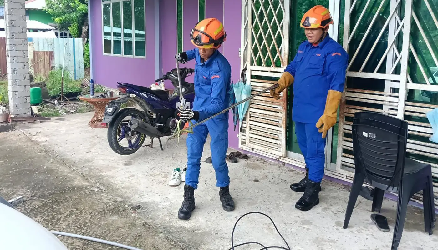 Civil Defence Force Captures Viper at Spaoh Residence 1 Sarawak, Sarawak News, Spaoh, Spaoh News, Kampung Serembang, Public Safety, Civil Defence, APM Spaoh, Wildlife Control, Snake Capture