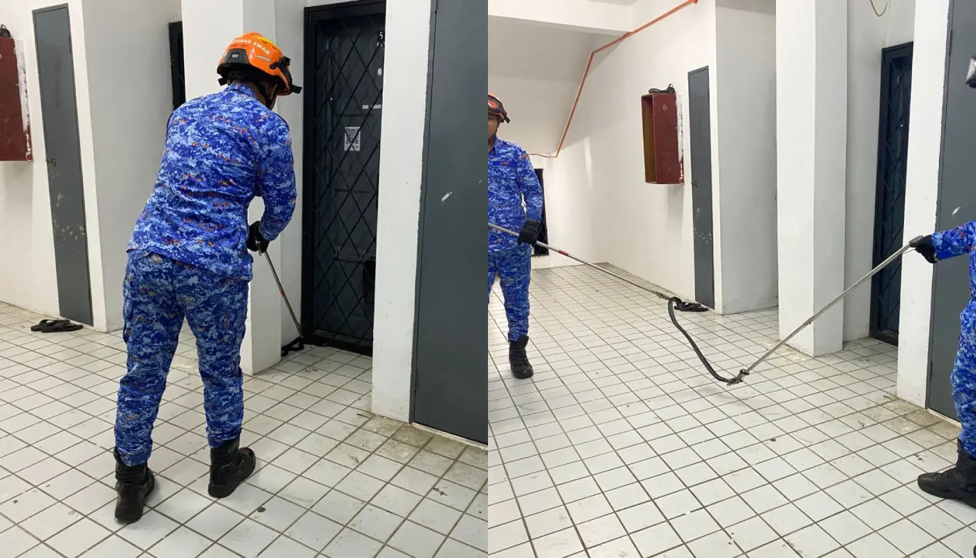 Civil Defence Force Handles Snake Capture in Lundu 1 Sarawak, Sarawak News, Lundu, Lundu News, Civil Defence, Public Safety, Snake Capture, Emergency Response
