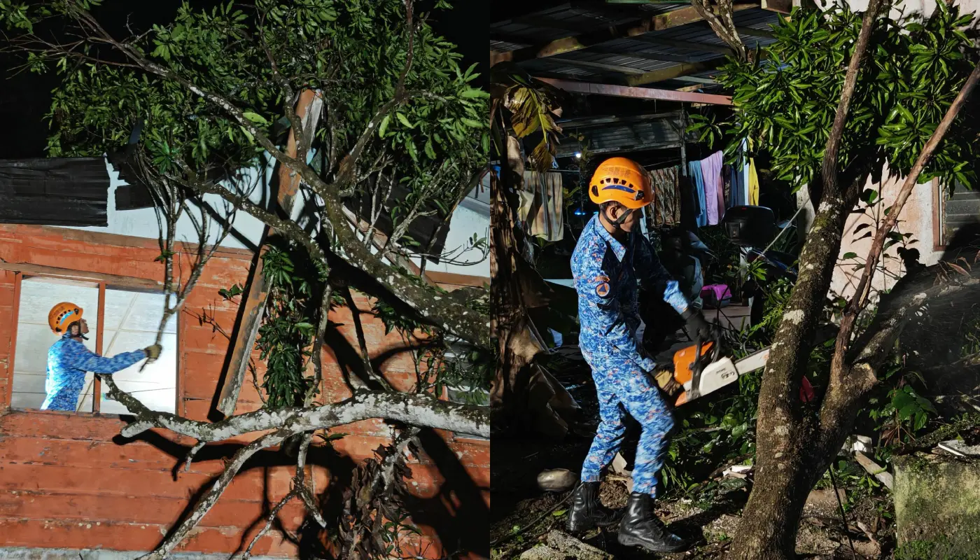Civil Defence Force Responds to Falling Tree Incident in Bau 1 Sarawak, Sarawak News, Bau, Bau News, Civil Defence, Emergency Response, Public Safety