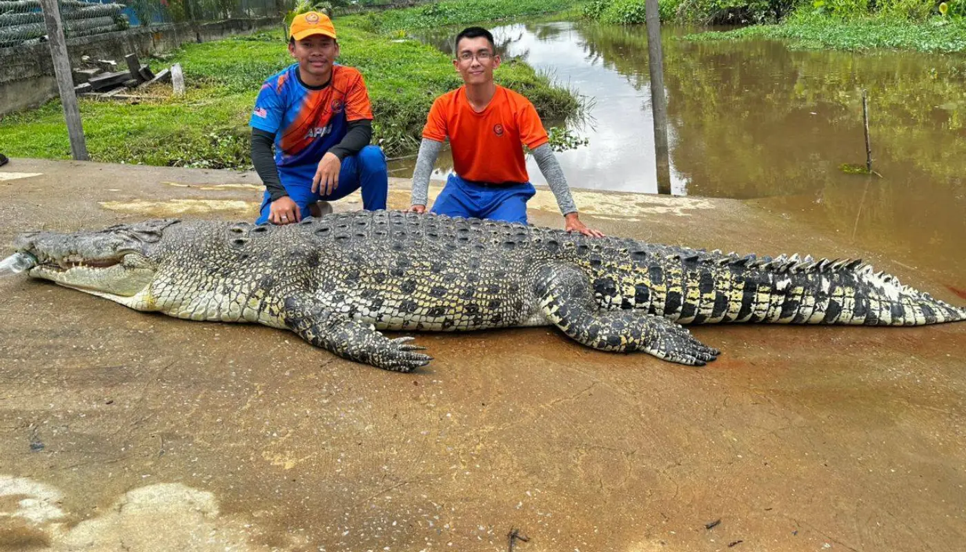 Sarawak, Sarawak News, Dalat, Dalat News, Sarawak Forestry Corporation, Civil Defence, Police, Wildlife Management, Public Safety