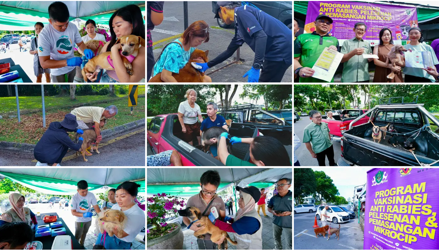 DBKU Expands Anti-Rabies Drive with Vaccination and Microchipping 1 Sarawak, Sarawak News, Kuching, Kuching News, DBKU, Rabies, Public Health, Veterinary Services, Animal Welfare