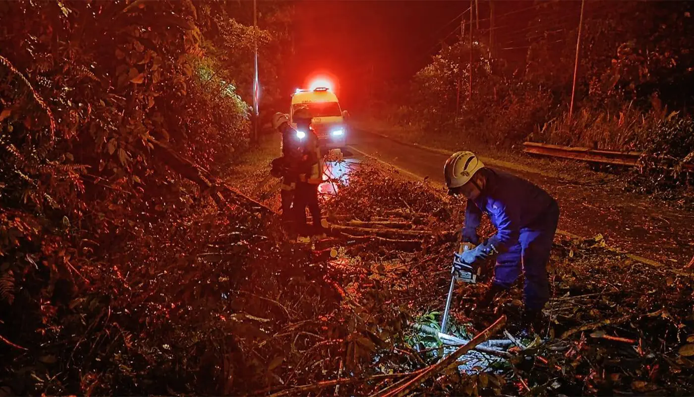 Fallen Tree Cleared Promptly on Tatai Amang Road by APM Kapit 1 Sarawak, Sarawak News, Kapit, Kapit News, Civil Defence, Emergency Response, Public Safety, Road Safety