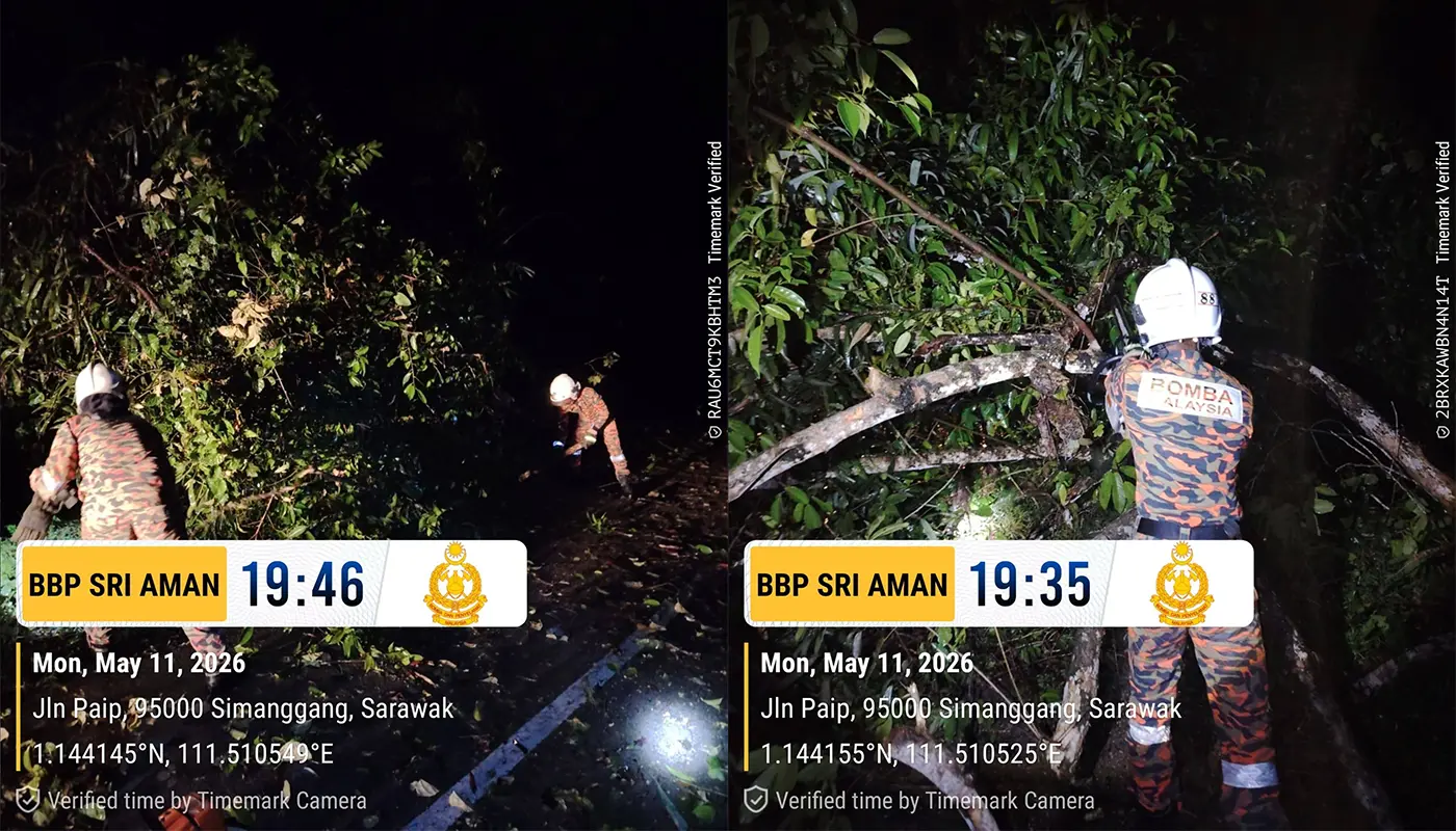 Firefighters Clear Fallen Tree Blocking Road in Sri Aman 1 Sarawak, Sarawak News, Sri Aman, Sri Aman News, Fire and Rescue Department, Fallen Tree, Public Safety