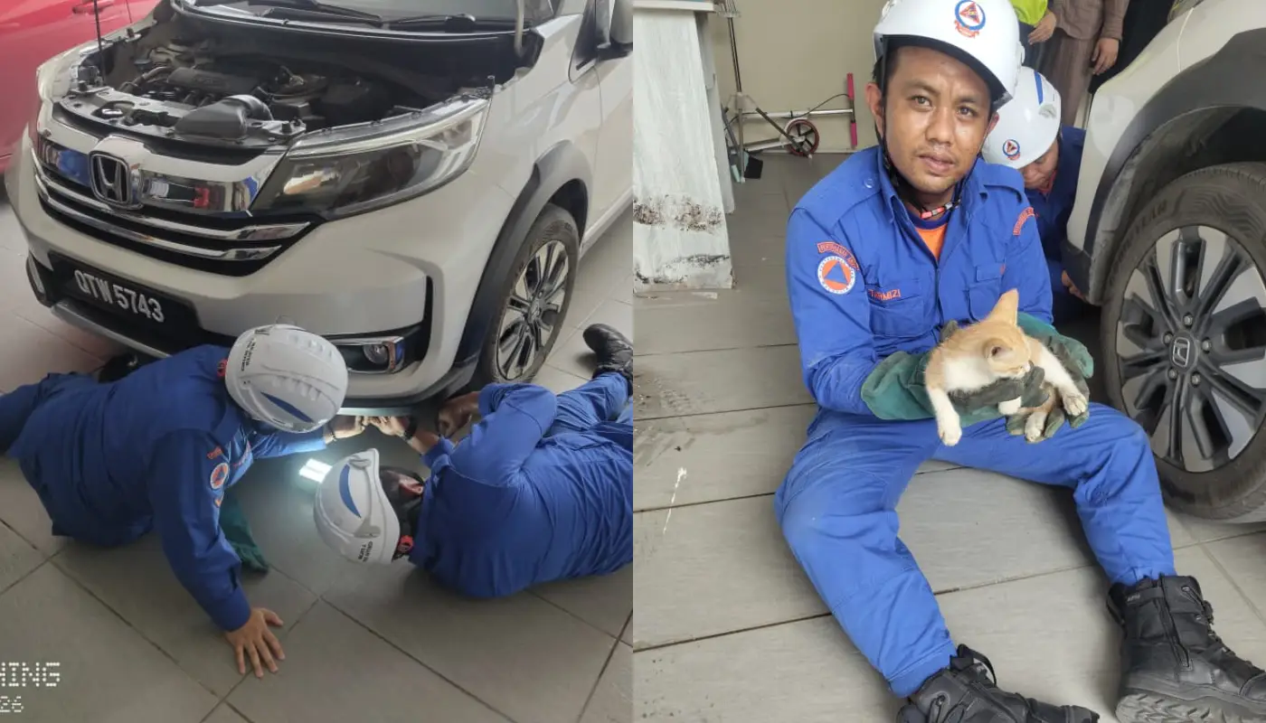 Sarawak, Sarawak News, Bintulu, Bintulu News, Emergency Response, Animal Rescue, Public Safety