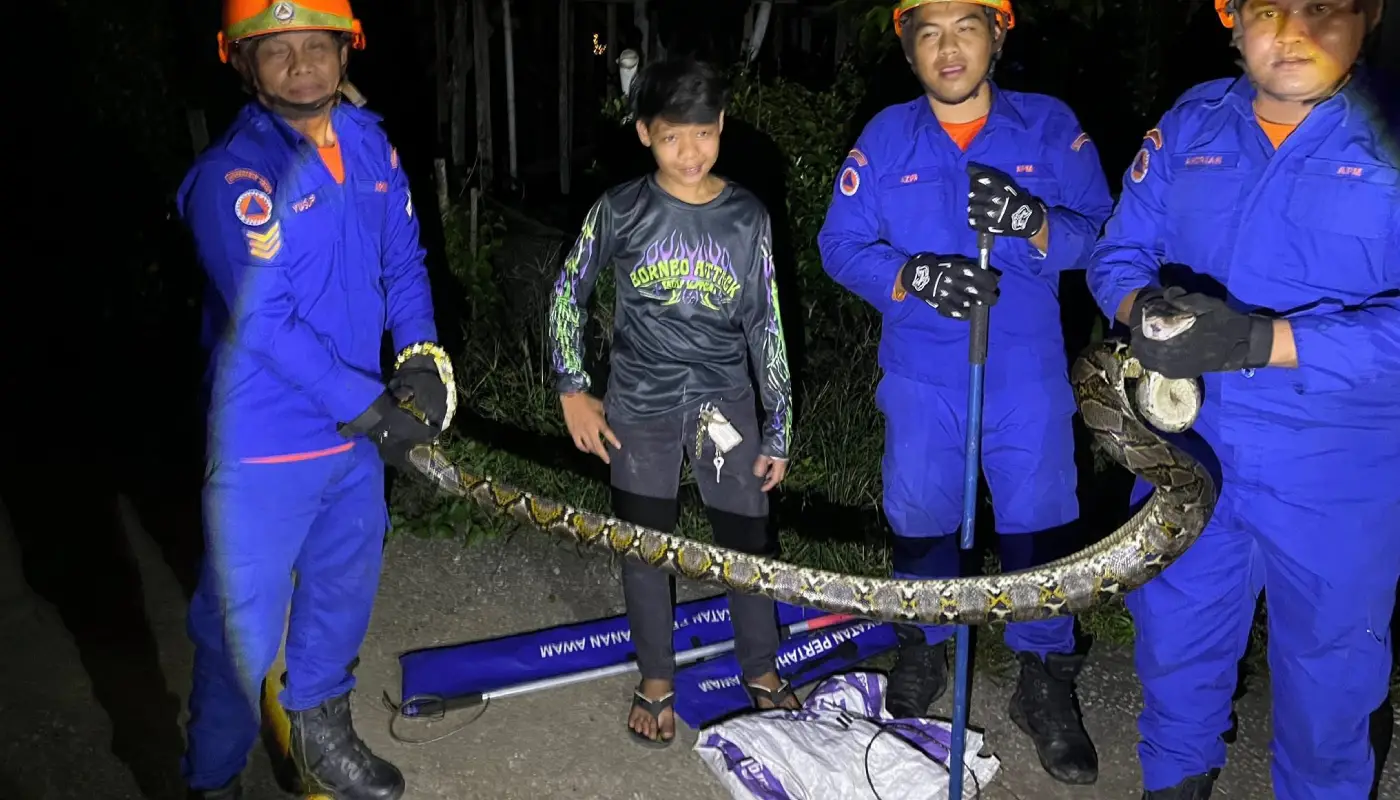 Python Safely Removed from Debak Home Store by APM 1 Sarawak, Sarawak News, Debak, Debak News, Emergency Response, Wildlife Rescue, Public Safety