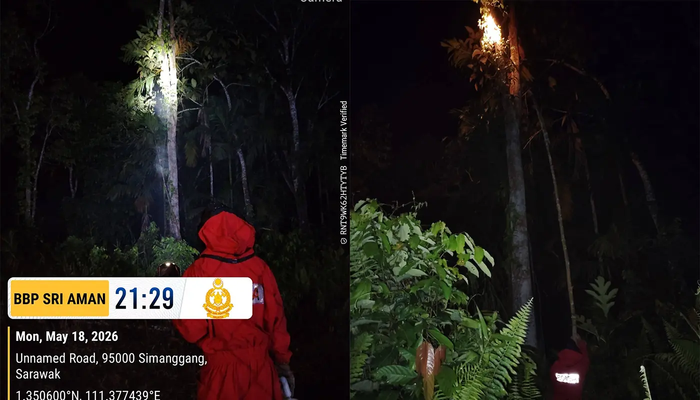 Sarawak, Sarawak News, Sri Aman, Sri Aman News, Wasp Nest Removal, Public Safety, Emergency Services, Bomba, Fire and Rescue Department, Tanjung Bijat