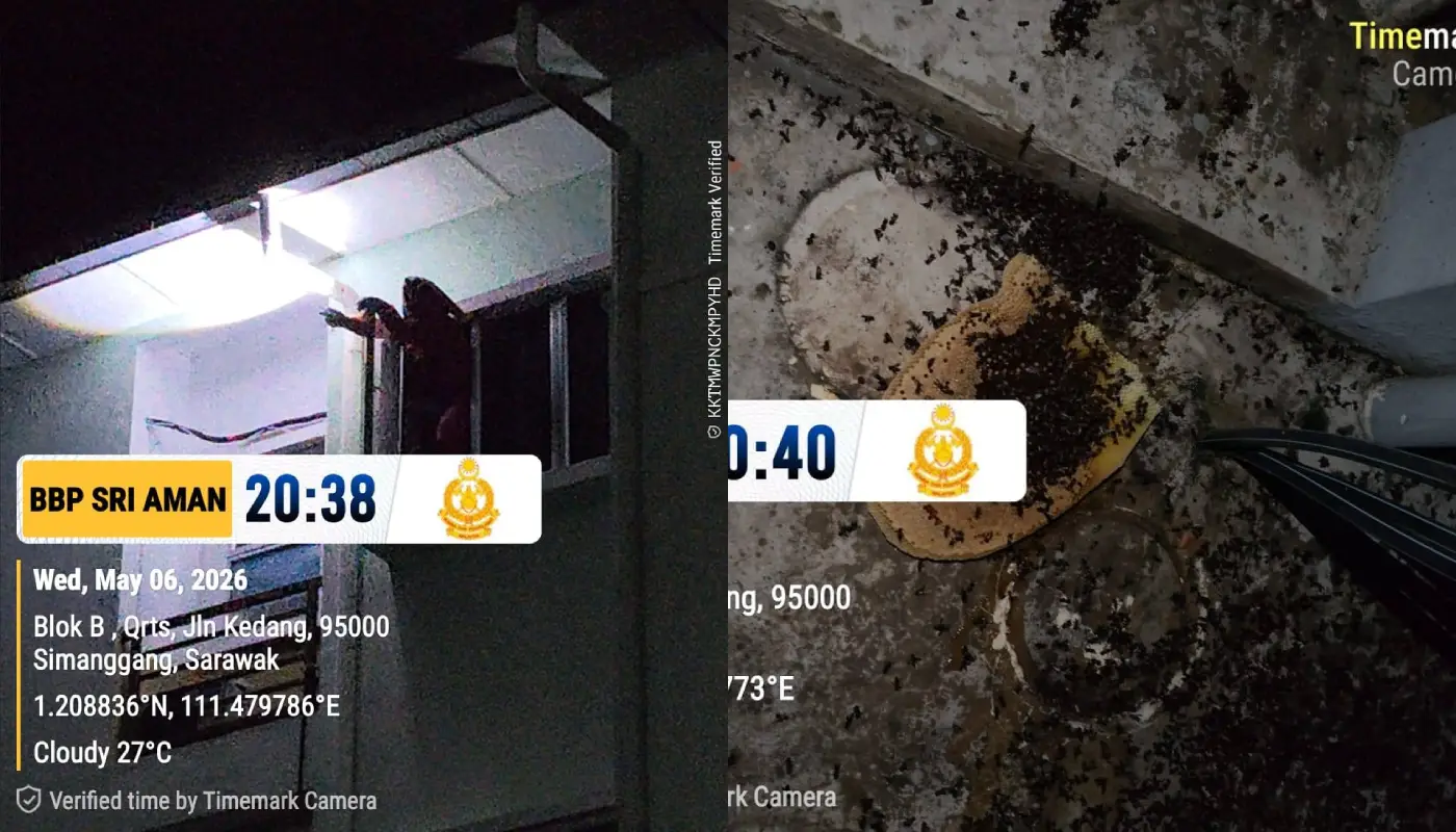 Sri Aman Firefighters Remove Bee Nest at Government Complex 1 Sarawak, Sarawak News, Sri Aman, Sri Aman News, Fire and Rescue Department, Public Safety, Emergency Response, Bee Nest Removal
