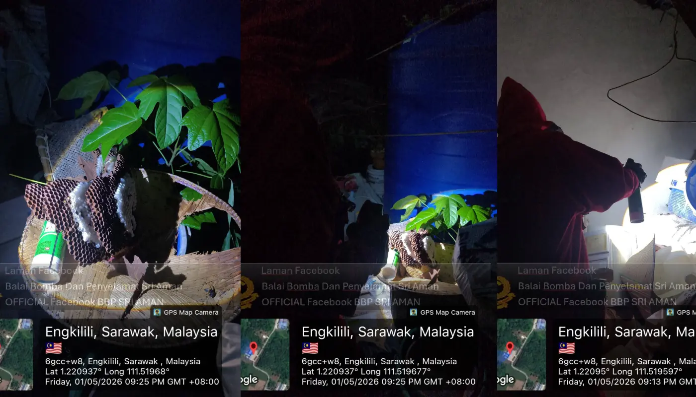 Sri Aman Firefighters Remove Wasp Nest from Village Home 1 Sarawak, Sarawak News, Sri Aman, Sri Aman News, Fire and Rescue, Public Safety, Insect Control