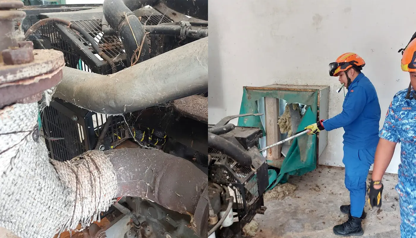 Sarawak, Sarawak News, Betong, Betong News, Snake Capture, Wildlife Incident, Emergency Response, APM