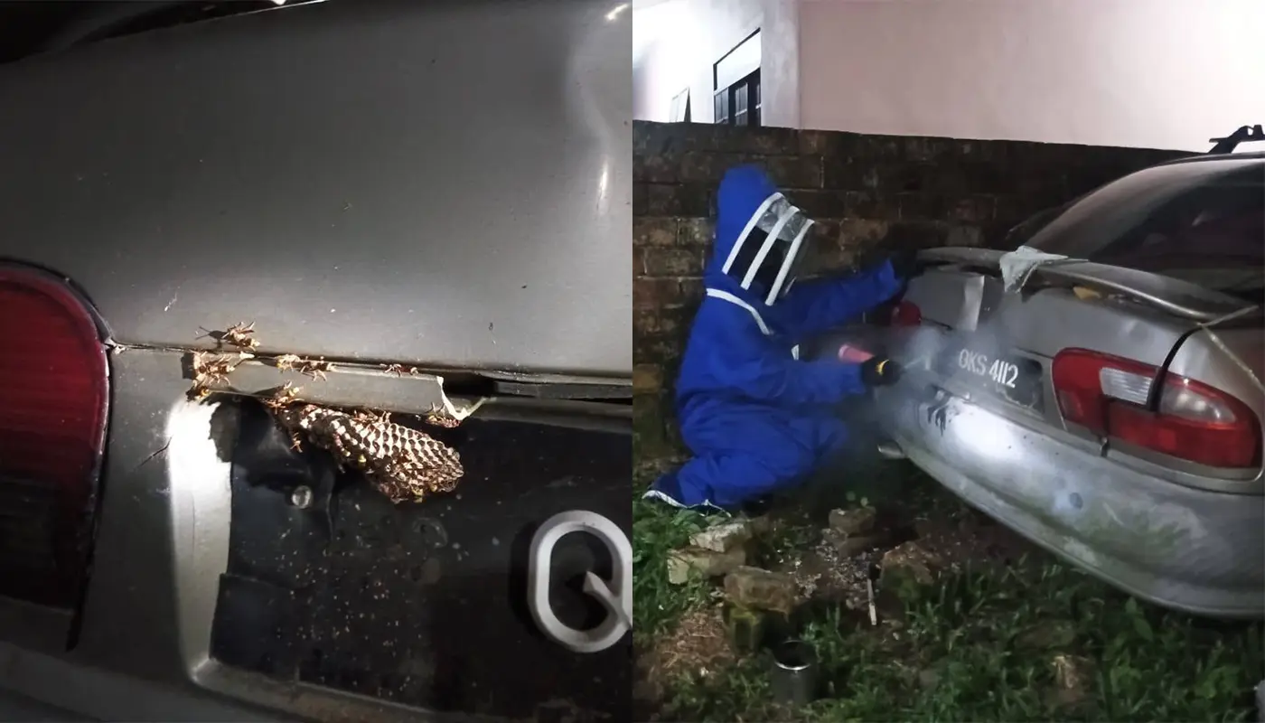 APM Bintulu Removes Bee Nest from Abandoned Car 1 Sarawak, Sarawak News, Bintulu, Bintulu News, Civil Defence, Emergency Response, Public Safety, Insect Nest Removal