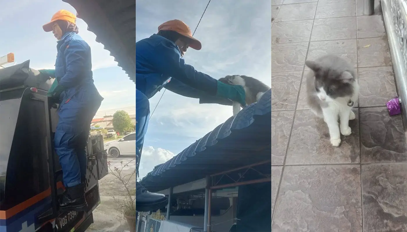 Sarawak, Sarawak News, Bintulu, Bintulu News, Civil Defence, Animal Rescue, Public Safety
