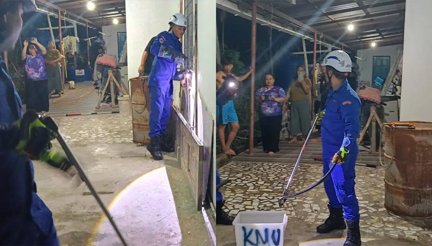 APM Kapit Safely Captures Spitting Cobra at Sebilat Jaya 1 Sarawak, Sarawak News, Kapit, Kapit News, Civil Defence, Snake Capture, Public Safety