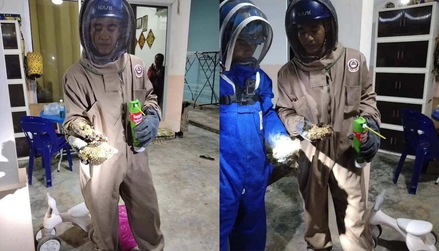 Sarawak, Sarawak News, Limbang, Limbang News, Public Safety, Emergency Response, Insect Nest Removal, School Safety