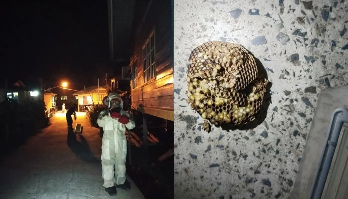 Sarawak, Sarawak News, Matu, Matu News, Kampung Jemoreng, Civil Defence, Wasp Nest Removal, Emergency Response, Community Safety