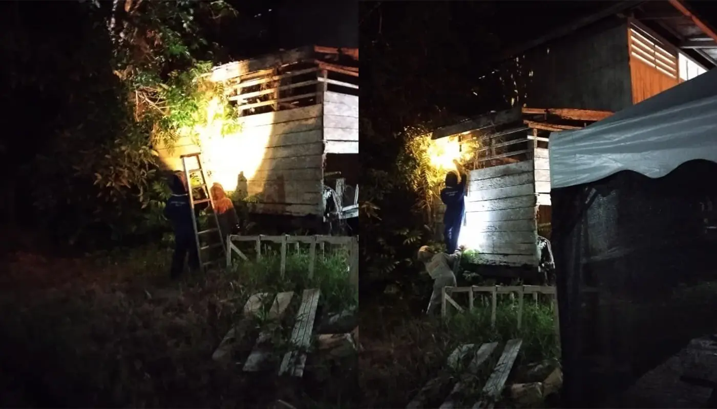 APM Matu Safely Handles Black Wasp Nest at Sekaan Shop 1 Sarawak, Sarawak News, Matu, Matu News, Civil Defence, Wasp Nest Removal, Community Safety, Emergency Response