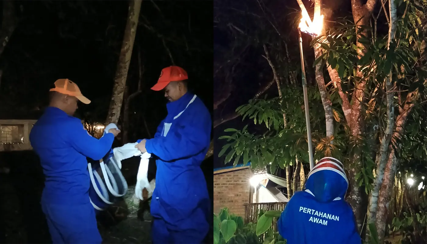 APM Removes Fly Stinger Nest Near Resort in Sematan 1 Sarawak, Sarawak News, Sematan, Sematan News, Insect Nest Removal, Civil Defence, Community Safety