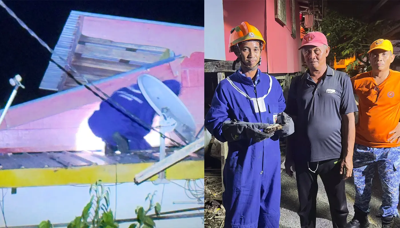 APM Removes Wasp Nest at Debak Home Safely 1 Sarawak, Sarawak News, Debak, Debak News, Civil Defence, Emergency Response, Public Safety, Household Safety