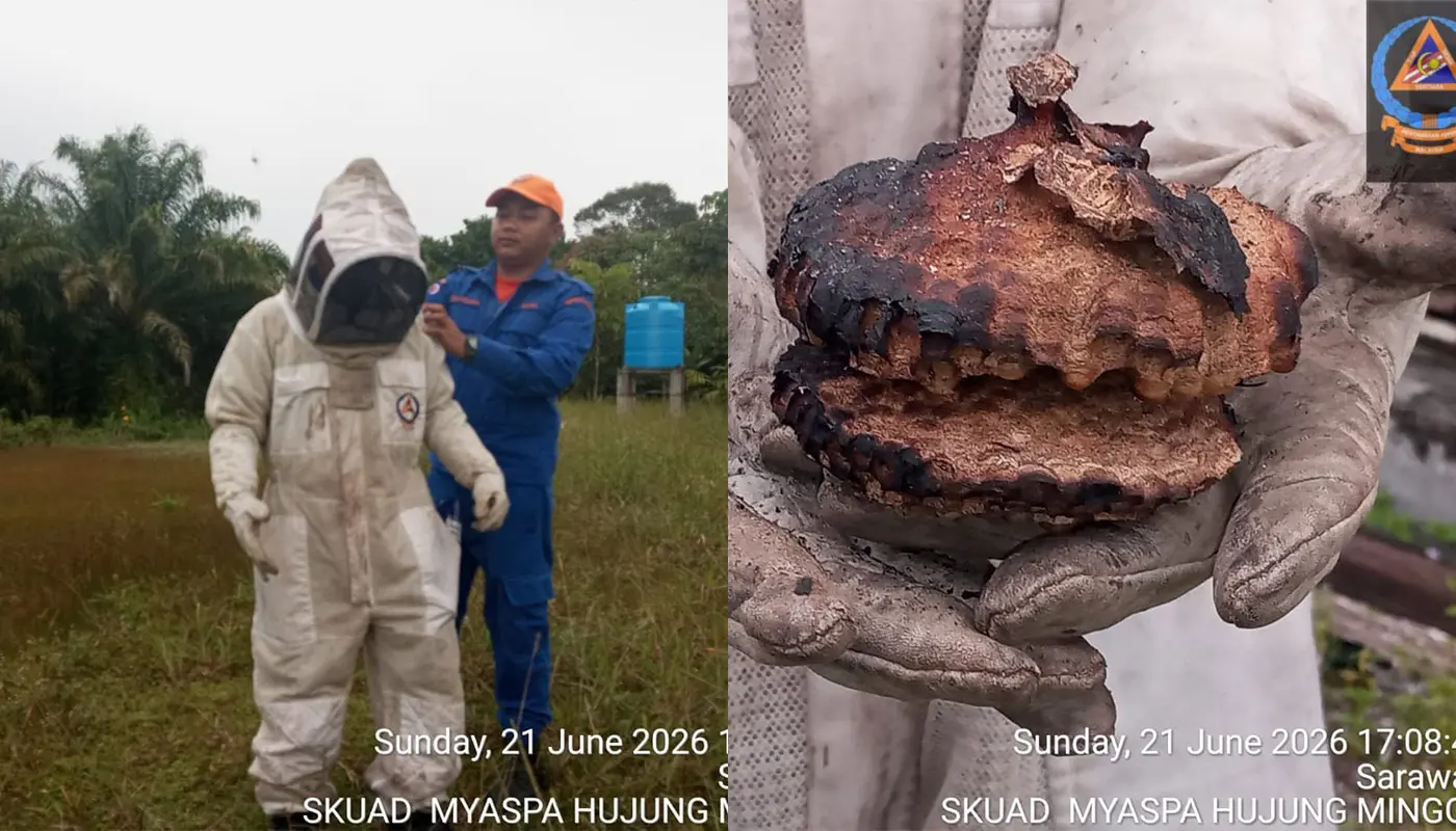 APM Removes Wasp Nest in Sematan, Lundu 1 Sarawak, Sarawak News, Sematan, Sematan News, Lundu, Lundu News, Emergency Response, Civil Defence, Public Safety