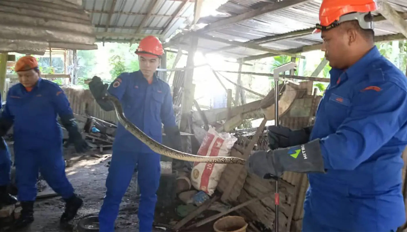 Sarawak, Sarawak News, Marudi, Marudi News, Civil Defence, Emergency Response, Public Safety, Wildlife Control