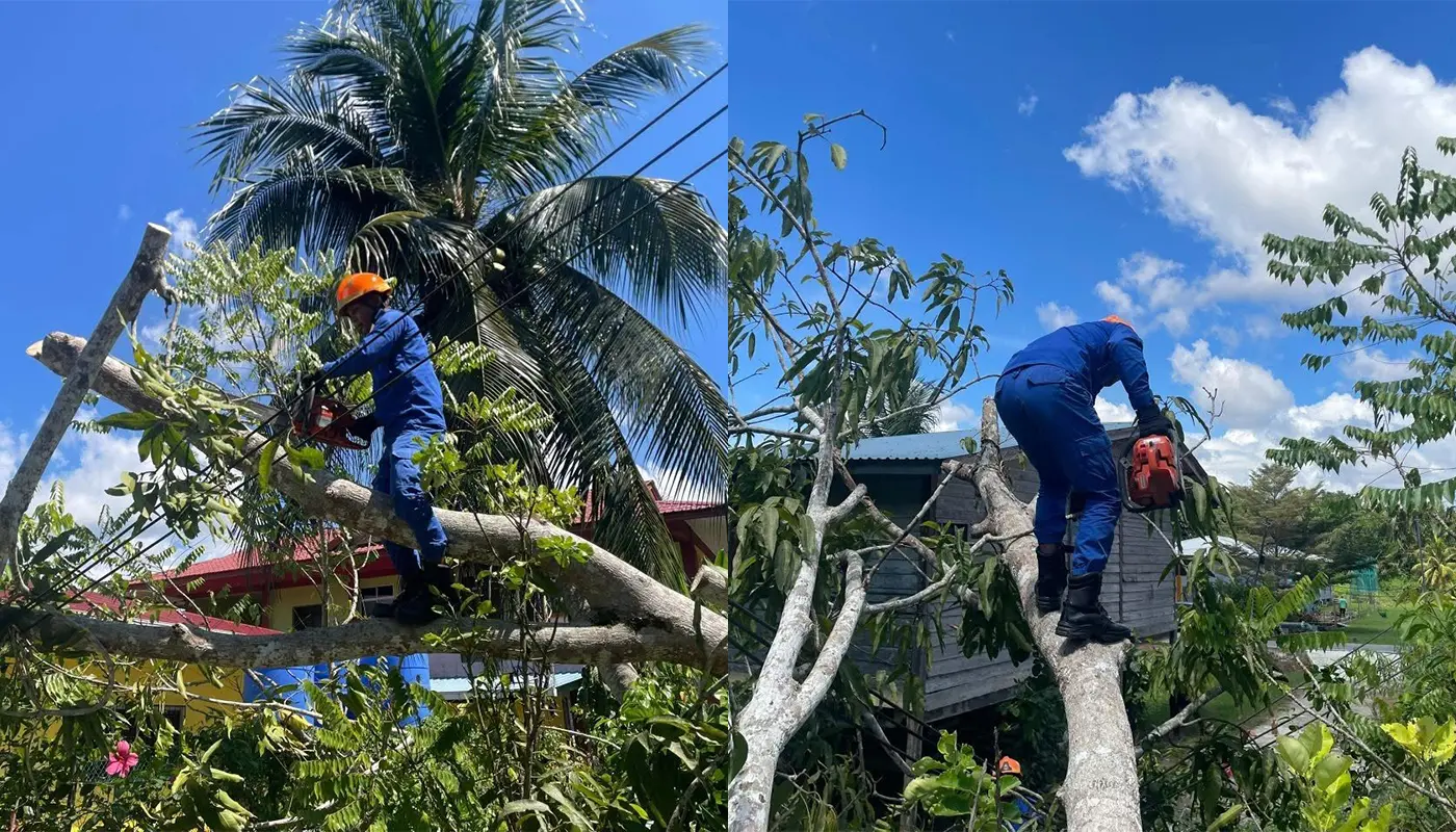 Sarawak, Sarawak News, Spaoh, Spaoh News, Civil Defence, Emergency Response, Public Safety, Tree Removal