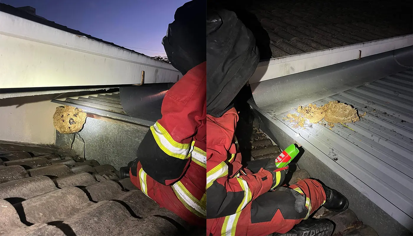 BBP Sibu Jaya Swiftly Destroyed Wasp Nest 1 Sarawak, Sarawak News, Sibu Jaya, Sibu Jaya News, Fire and Rescue, Public Safety, Emergency Response
