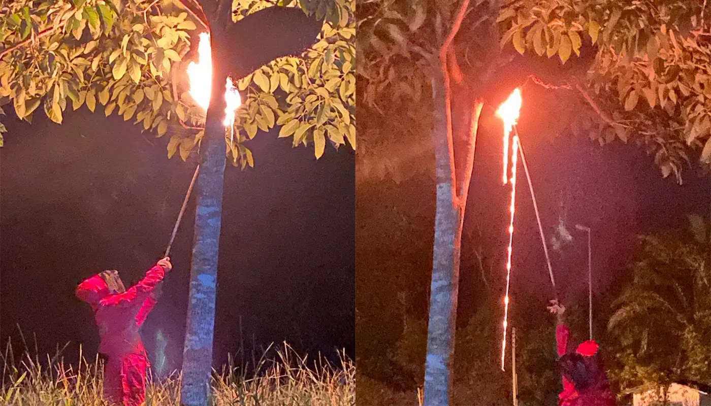 BBP Sri Aman Removes Bee Nest at Kem Pakit 1 Sarawak, Sarawak News, Kuching, Kuching News, Fire and Rescue Department, Bee Nest Removal, Public Safety