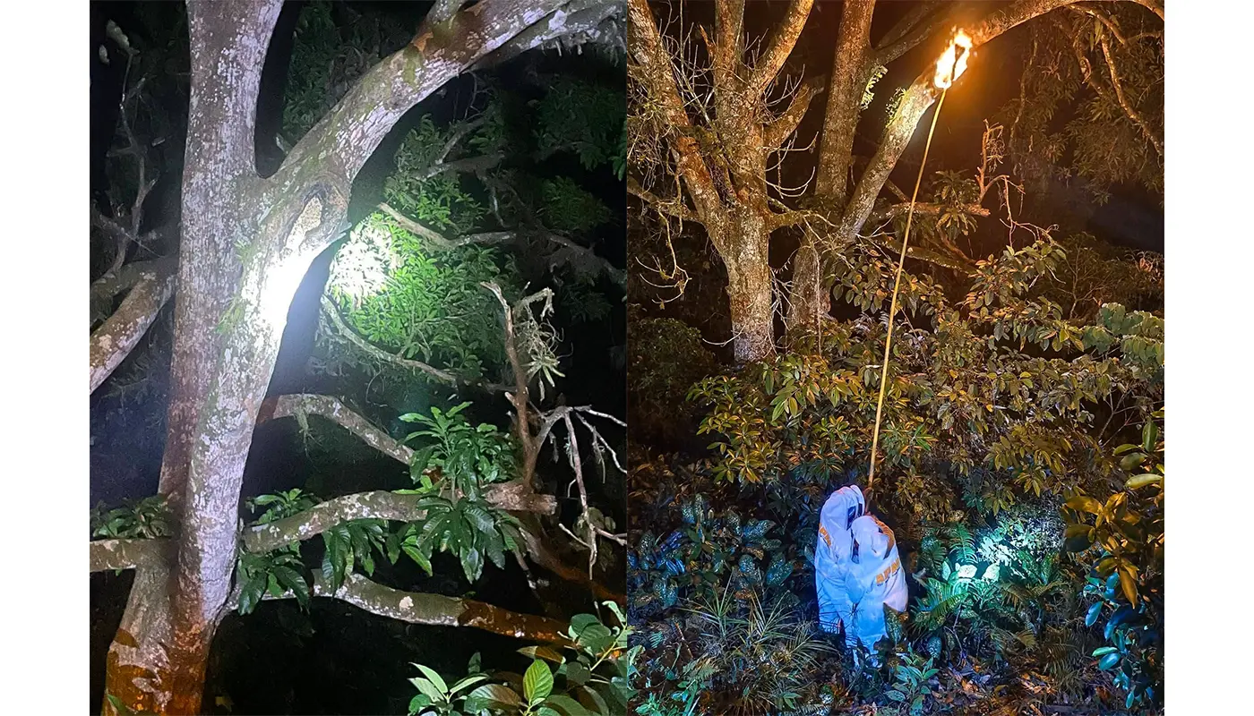 Beehive Removed Near Julau SESCO Office to Ensure Safety 1 Sarawak, Sarawak News, Julau, Julau News, Civil Defence, Emergency Response, Public Safety, Wildlife Control