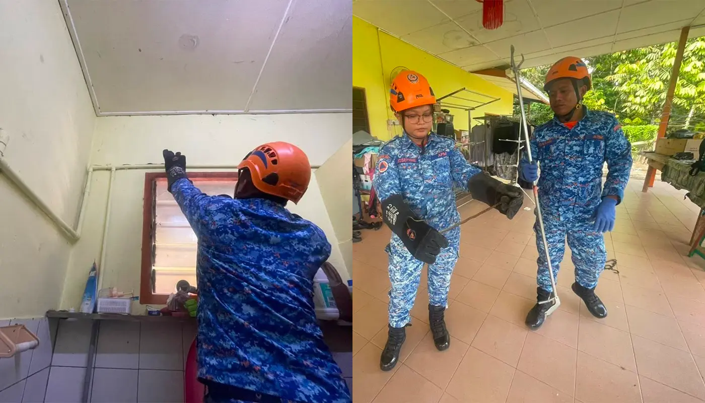 Civil Defence Force Captures Rattlesnake in Julau Home 1 Sarawak, Sarawak News, Julau, Julau News, Civil Defence, Emergency Response, Wildlife Safety, Public Safety