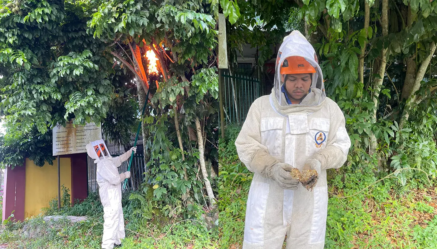Civil Defence Responds to Wasp Incident at Bau Post Office 1 Sarawak, Sarawak News, Bau, Bau News, Civil Defence, Emergency Response, Public Safety