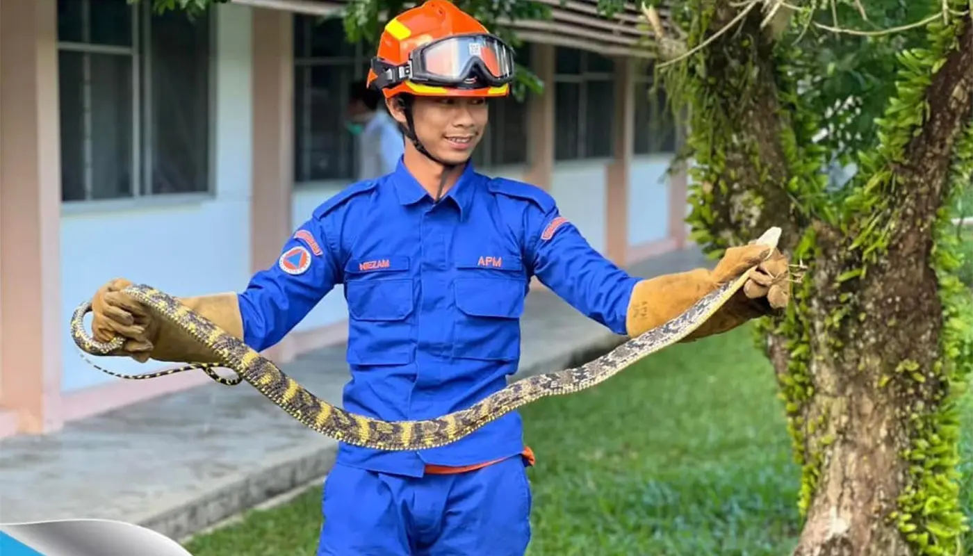 Sarawak, Sarawak News, Bau, Bau News, Civil Defence, Emergency Response, Snake Catching, Public Safety