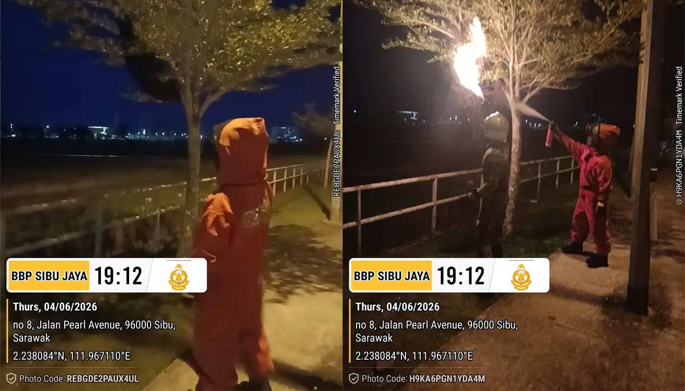 Firefighters Safely Remove Insect Nest at Sibu Jaya Stadium 1 Sarawak, Sarawak News, Sibu, Sibu News, Fire and Rescue Department, Public Safety, Emergency Response