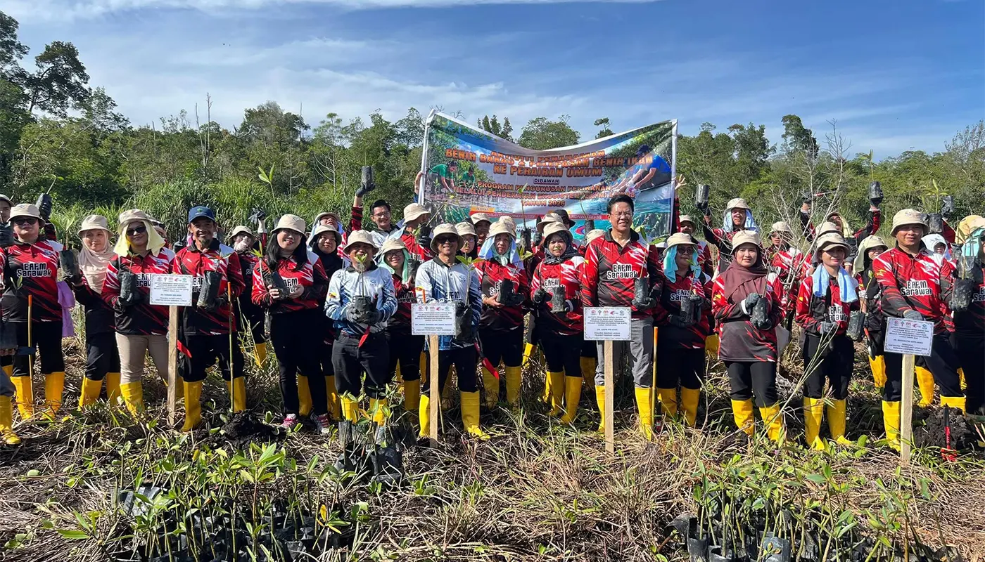 Sarawak, Sarawak News, Lawas, Lawas News, mangrove conservation, fisheries management, environmental sustainability, community empowerment