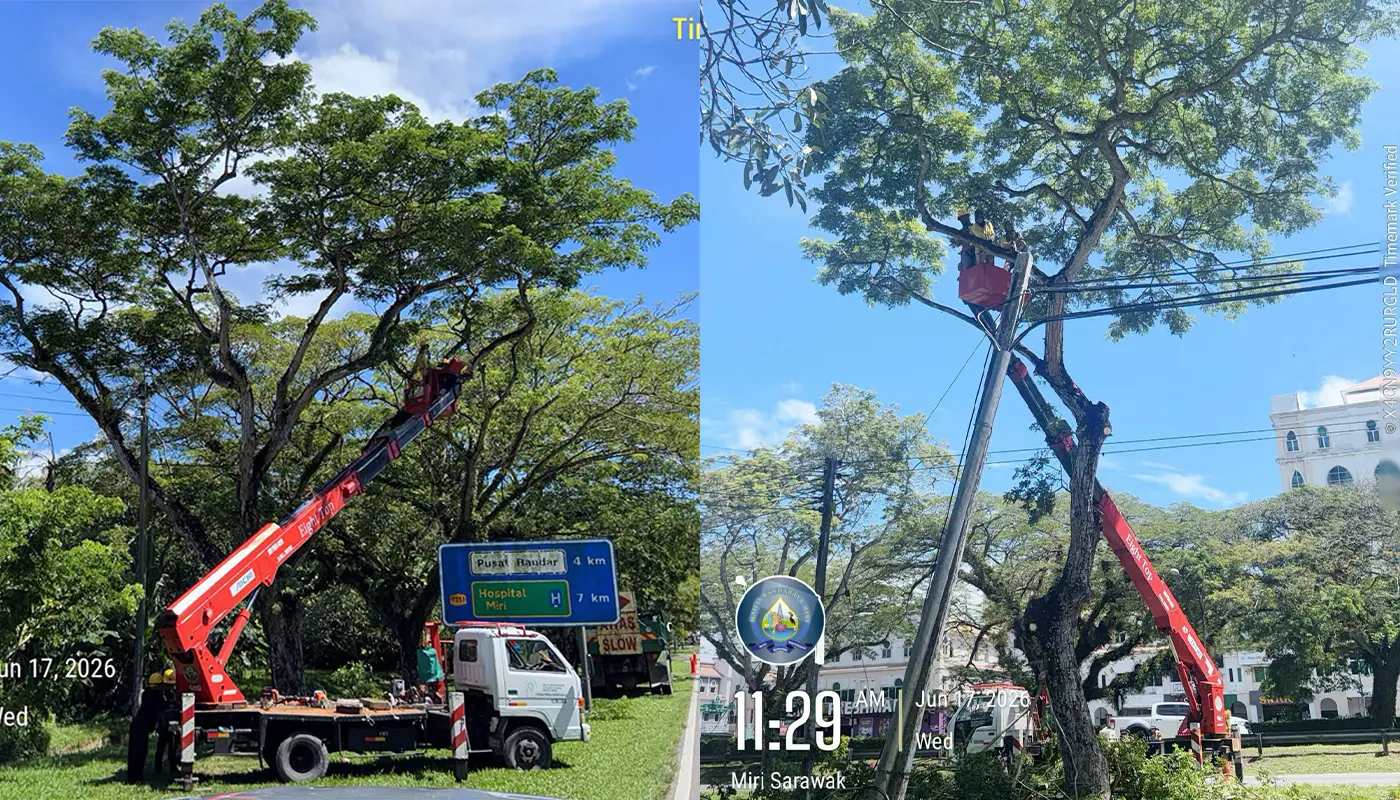 Sarawak, Sarawak News, Miri, Miri News, Tree Pruning, Road Safety, Infrastructure, Urban Maintenance, Public Welfare