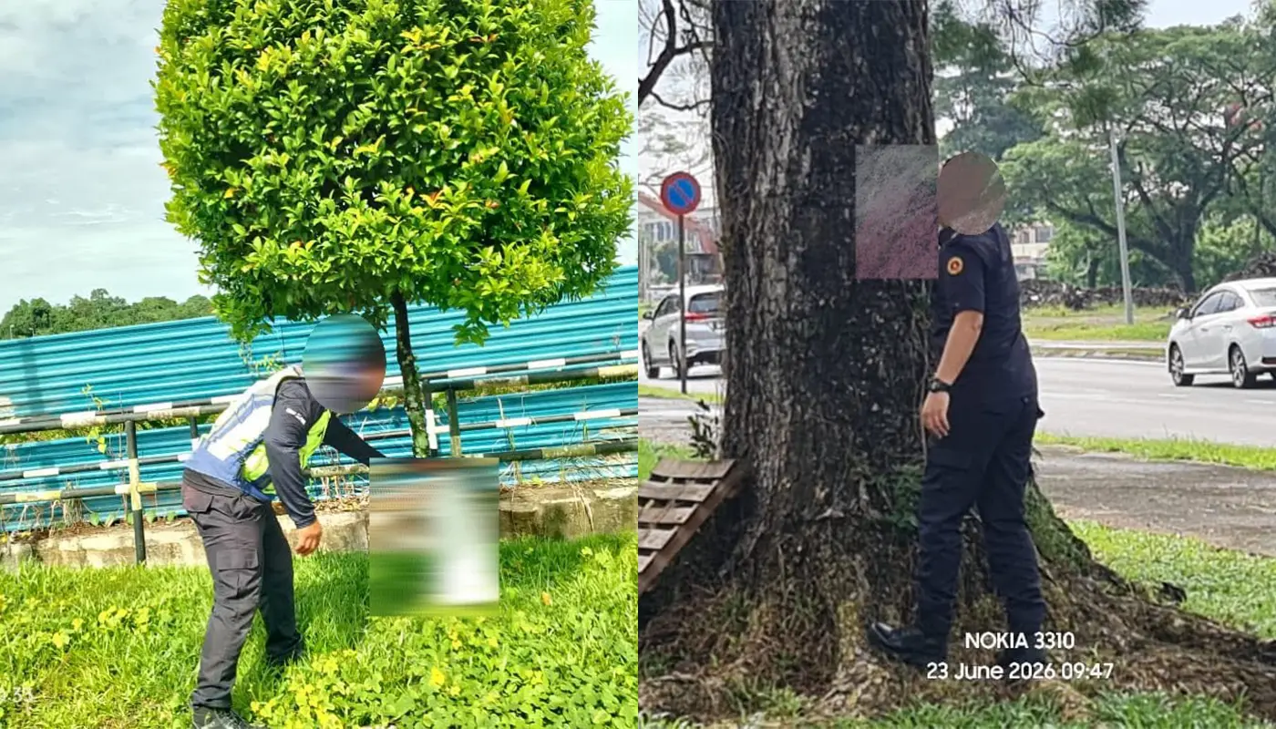 Sarawak, Sarawak News, Padawan, Padawan News, municipal council, enforcement, illegal advertisements, public safety