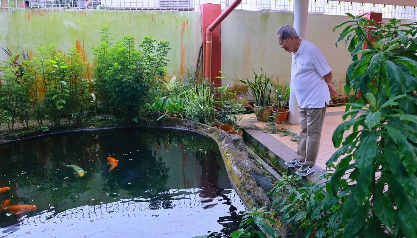Sarawak, Sarawak News, Kuching, Kuching News, Wan Junaidi, Sarawak Governor, Jalan Green, Residence Inspection, Fauziah Mohd Sanusi, Sarawak Leadership