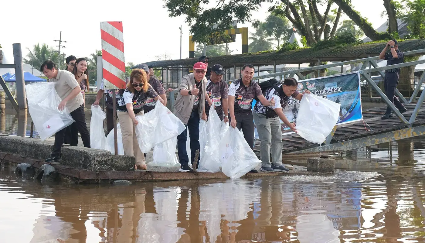 50,000 Shrimp Seeds Released into Sungai Kemena for Sustainability 1 Sarawak, Sarawak News, Sebauh, Sebauh News, Bintulu, Bintulu News, Fisheries, Sustainability, Agriculture, River Conservation
