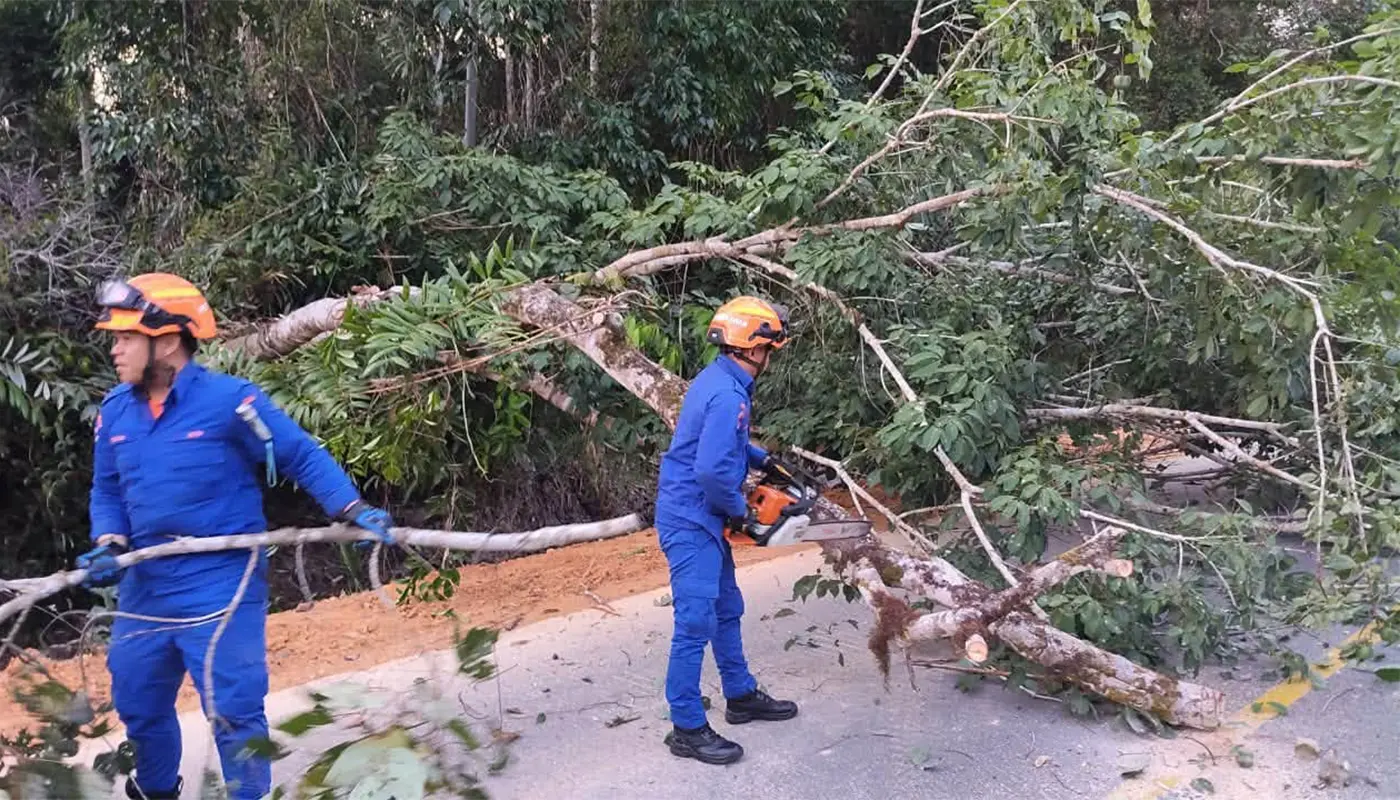 Sarawak, Sarawak News, Betong, Betong News, Fallen Tree, Road Safety, Emergency Response, Civil Defence Force